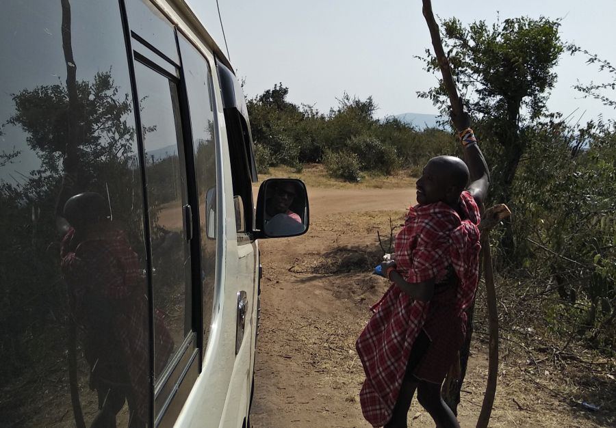 safari en kenia con niños