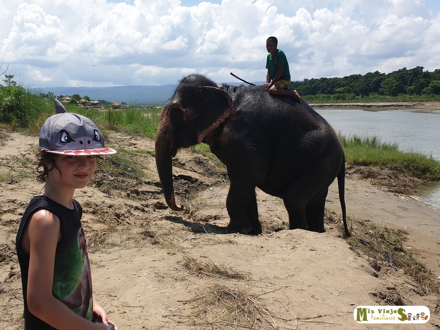 Elefantes bañandose en el río en Chitwan, al sur de Nepal. Visita imprescindible si viajas con niños