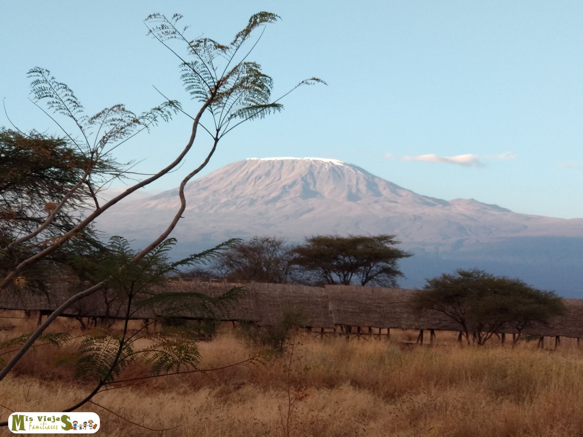 Kilimanjaro Amboseli Kenia safari